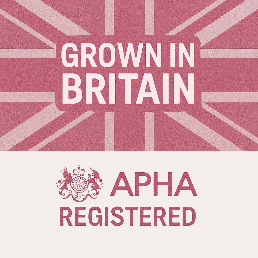 APHA Certified